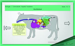 Preview: Interaktives Lernen: Punkte kaufen Preview: Interaktives Lernen: Punkte kaufen