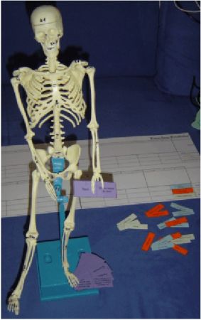 Knochen - Knobelei   -  Skelett extra